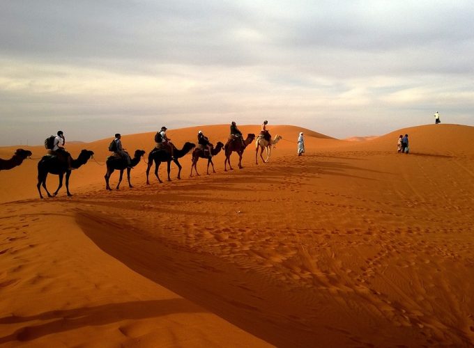 Private Day Tours in Jodhpur, Travel Agency in Jodhpur, Camel Safari Tour In jodhpur, Jodhpur City Tour, Jodhpur To Udaipur Car Taxi, One Way Car Taxi, Bishnoi Village Safari Jodhpur, Tour Operator In jodhpur, Blue City Tour Jodhpur, Jeep Safari Tour In Jodhpur, ,One Way Jodhpur To Jaisalmer Transfer, Desert Safari Tour In JODHPUR , Car Rental ,