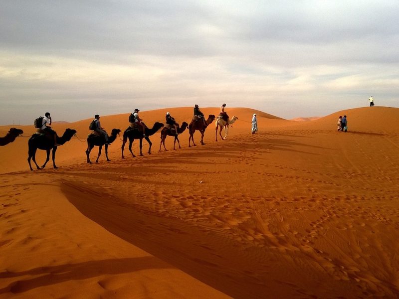 Private Day Tours in Jodhpur, Travel Agency in Jodhpur, Camel Safari Tour In jodhpur, Jodhpur City Tour, Jodhpur To Udaipur Car Taxi, One Way Car Taxi, Bishnoi Village Safari Jodhpur, Tour Operator In jodhpur, Blue City Tour Jodhpur, Jeep Safari Tour In Jodhpur, ,One Way Jodhpur To Jaisalmer Transfer, Desert Safari Tour In JODHPUR , Car Rental ,