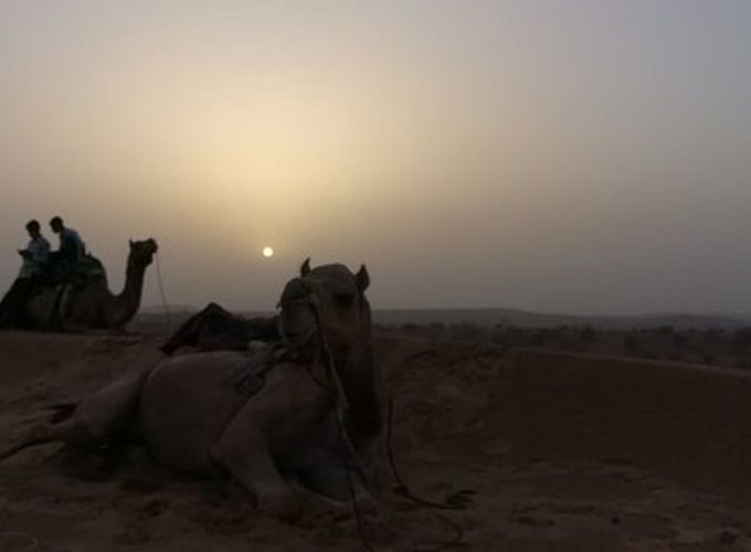 Private Day Tours in Jodhpur, Travel Agency in Jodhpur, Camel Safari Tour In jodhpur, Jodhpur City Tour, Jodhpur To Udaipur Car Taxi, One Way Car Taxi, Bishnoi Village Safari Jodhpur, Tour Operator In jodhpur, Blue City Tour Jodhpur, Jeep Safari Tour In Jodhpur, ,One Way Jodhpur To Jaisalmer Transfer, Desert Safari Tour In JODHPUR , Car Rental ,