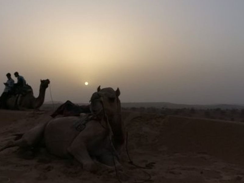 Private Day Tours in Jodhpur, Travel Agency in Jodhpur, Camel Safari Tour In jodhpur, Jodhpur City Tour, Jodhpur To Udaipur Car Taxi, One Way Car Taxi, Bishnoi Village Safari Jodhpur, Tour Operator In jodhpur, Blue City Tour Jodhpur, Jeep Safari Tour In Jodhpur, ,One Way Jodhpur To Jaisalmer Transfer, Desert Safari Tour In JODHPUR , Car Rental ,