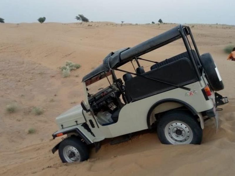 Private Day Tours in Jodhpur, Travel Agency in Jodhpur, Camel Safari Tour In jodhpur, Jodhpur City Tour, Jodhpur To Udaipur Car Taxi, One Way Car Taxi, Bishnoi Village Safari Jodhpur, Tour Operator In jodhpur, Blue City Tour Jodhpur, Jeep Safari Tour In Jodhpur, ,One Way Jodhpur To Jaisalmer Transfer, Desert Safari Tour In JODHPUR , Car Rental ,