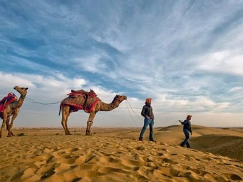 Private Day Tours in Jodhpur, Travel Agency in Jodhpur, Camel Safari Tour In jodhpur, Jodhpur City Tour, Jodhpur To Udaipur Car Taxi, One Way Car Taxi, Bishnoi Village Safari Jodhpur, Tour Operator In jodhpur, Blue City Tour Jodhpur, Jeep Safari Tour In Jodhpur, ,One Way Jodhpur To Jaisalmer Transfer, Desert Safari Tour In JODHPUR , Car Rental ,