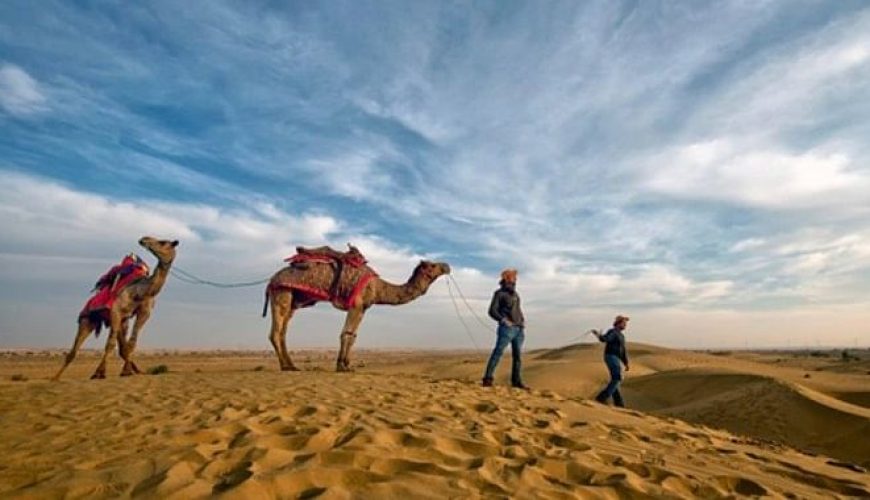 Private Day Tours in Jodhpur, Travel Agency in Jodhpur, Camel Safari Tour In jodhpur, Jodhpur City Tour, Jodhpur To Udaipur Car Taxi, One Way Car Taxi, Bishnoi Village Safari Jodhpur, Tour Operator In jodhpur, Blue City Tour Jodhpur, Jeep Safari Tour In Jodhpur, ,One Way Jodhpur To Jaisalmer Transfer, Desert Safari Tour In JODHPUR , Car Rental ,