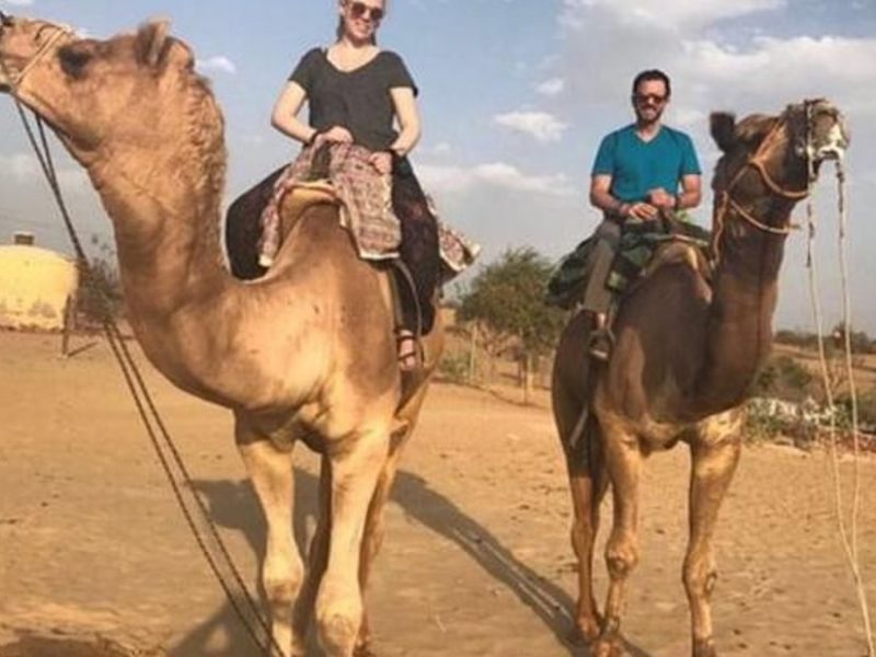 Private Day Tours in Jodhpur, Travel Agency in Jodhpur, Camel Safari Tour In jodhpur, Jodhpur City Tour, Jodhpur To Udaipur Car Taxi, One Way Car Taxi, Bishnoi Village Safari Jodhpur, Tour Operator In jodhpur, Blue City Tour Jodhpur, Jeep Safari Tour In Jodhpur, ,One Way Jodhpur To Jaisalmer Transfer, Desert Safari Tour In JODHPUR , Car Rental ,